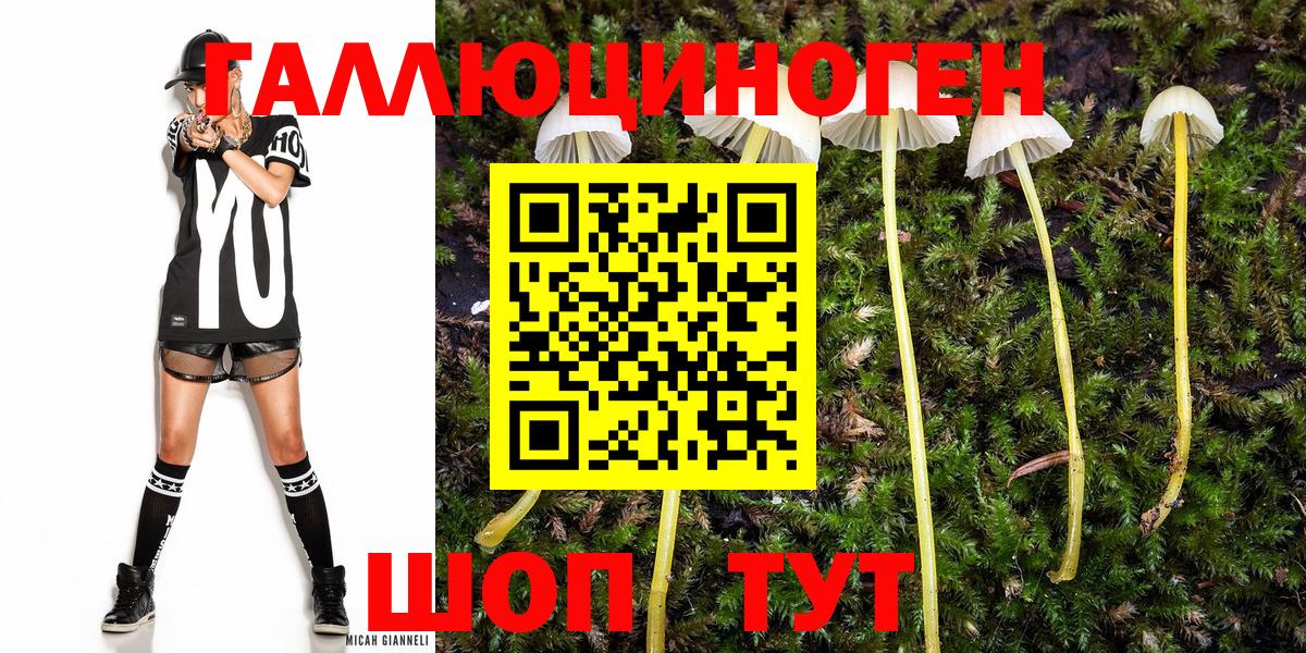 Псилоцибиновые грибы мицелий Рязань